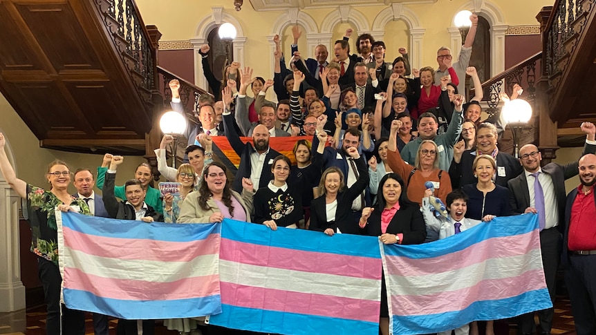 a large group of people cheering and holding trans flags on the steps inside queensland parliament