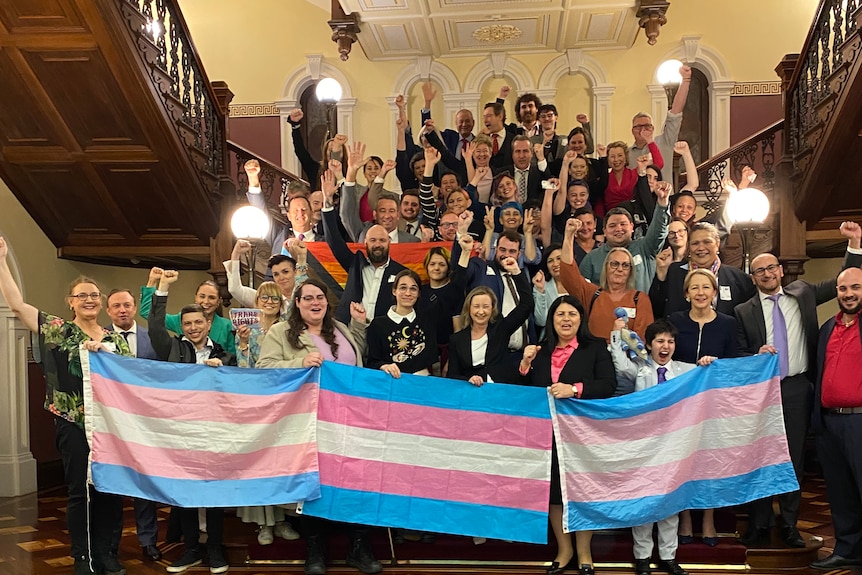 a large group of people cheering and holding trans flags on the steps inside queensland parliament
