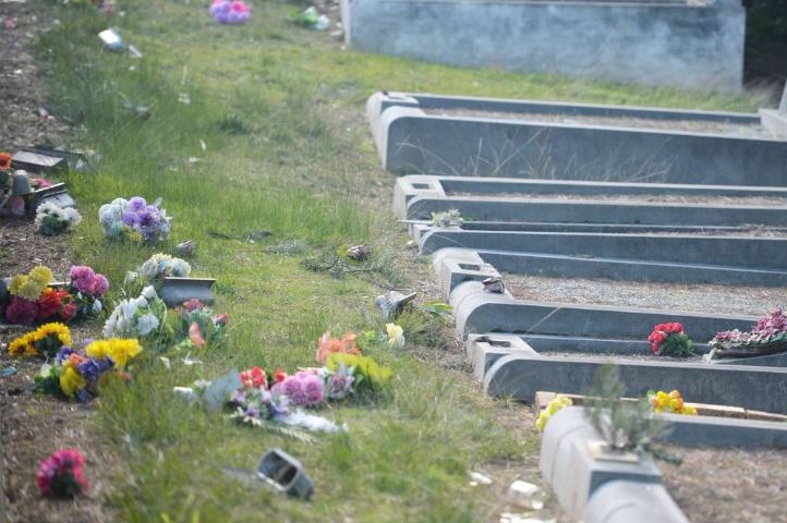 Flowers strewn around graves at Penguin cemetery