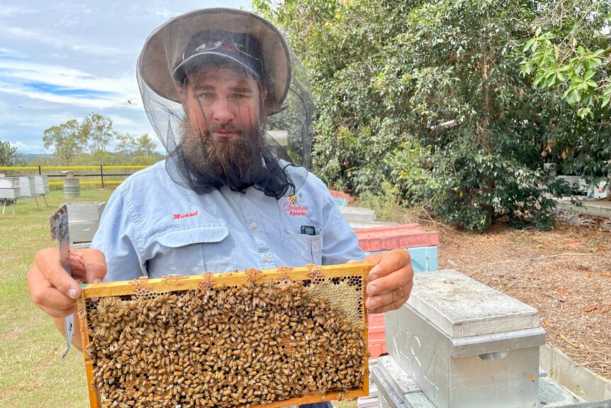 A bearded man wearing a bee net holds up a loaded honeybee frame.