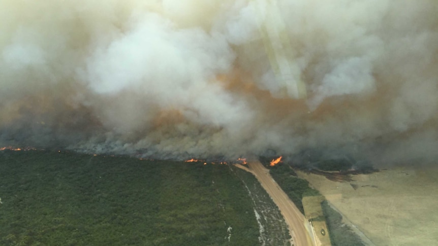 Smoke billowing above flames burning in green grassland