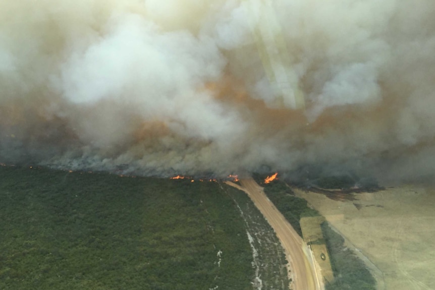 Smoke billowing above flames burning in green grassland