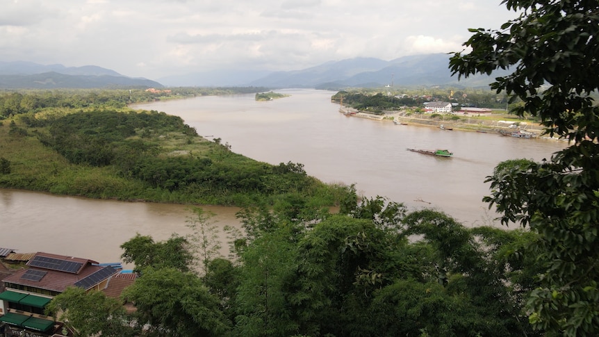 The intersection of two brown rivers as seen through dense greenery