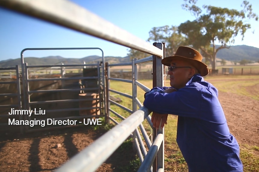 A man leans against a cattle yard fence.