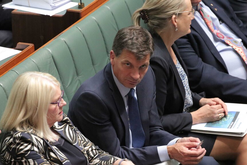 Angus Taylor sits on the front bench and looks towards the camera with a serious expression