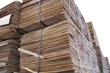 Truck loaded with timber veneer sheets at Burnie port