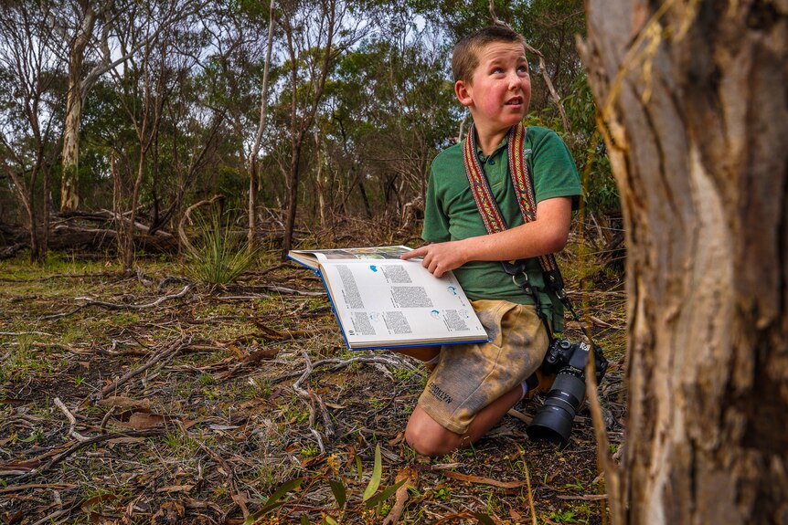 A boy wearing khaki pants, green shirt and a camera around his neck looks up at an unseen bird, with a book open on his knee