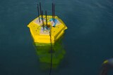 Protean Wave Energy buoy