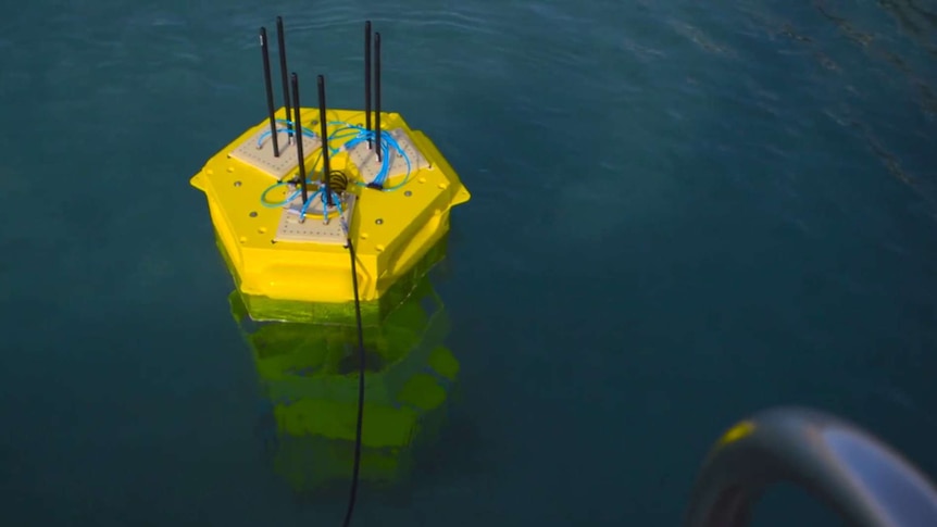 Protean Wave Energy buoy