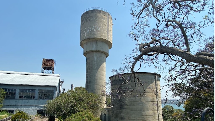 A jacaranda and water tower in front of heritage industrial buildings on cockatoo island
