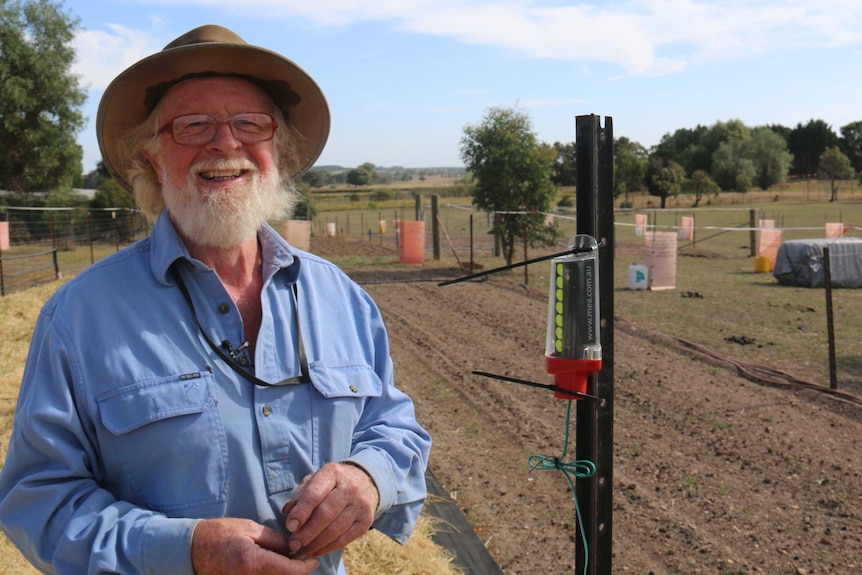 A farmer in a hat stands in front of a field of garlic.