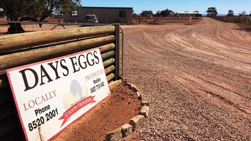 Sign at the front of Days Eggs new Port Germein farm