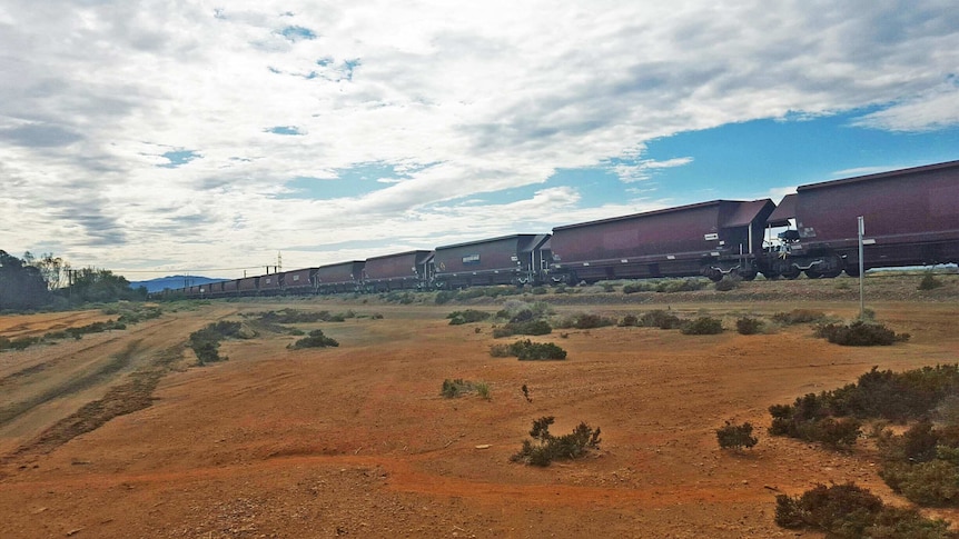 coal train carrying coal from the Leigh Creek mine