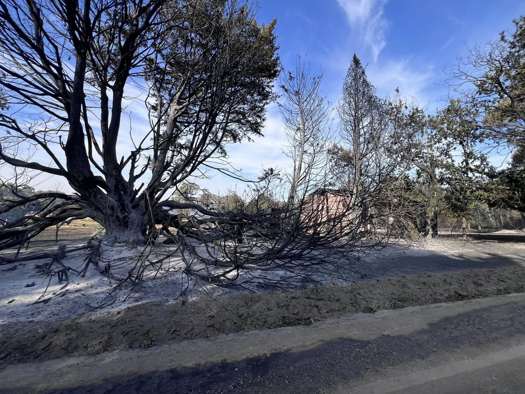 Uma casa destruída após um incêndio florestal, metais retorcidos e escombros