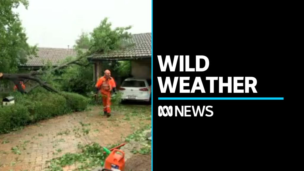 Canberrans clean up after another violent storm - ABC News