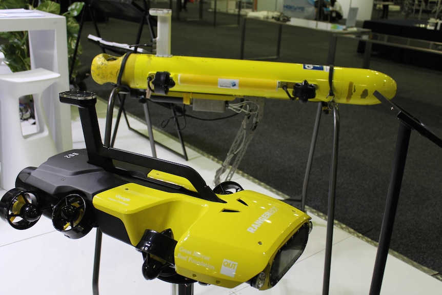 Two yellow tube-like robots on display