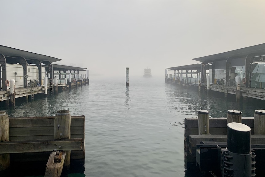 Fog and a ferry in the distance