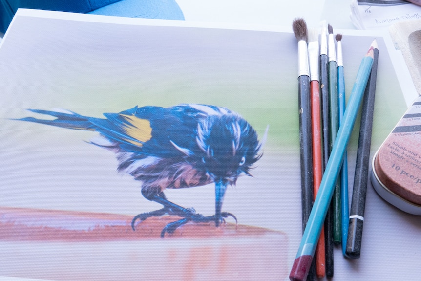 Printed photo of a bird bathing on table with pencils, paint brush and a Bupa cap