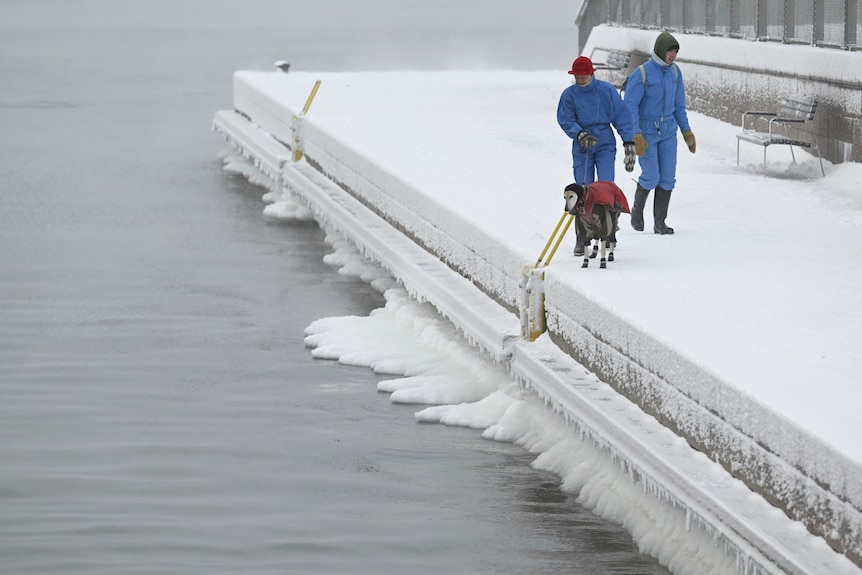 Finlandiya'da kışlık kıyafetli insanlar deniz kenarında bir köpekle donmuş bir iskelede yürüyor