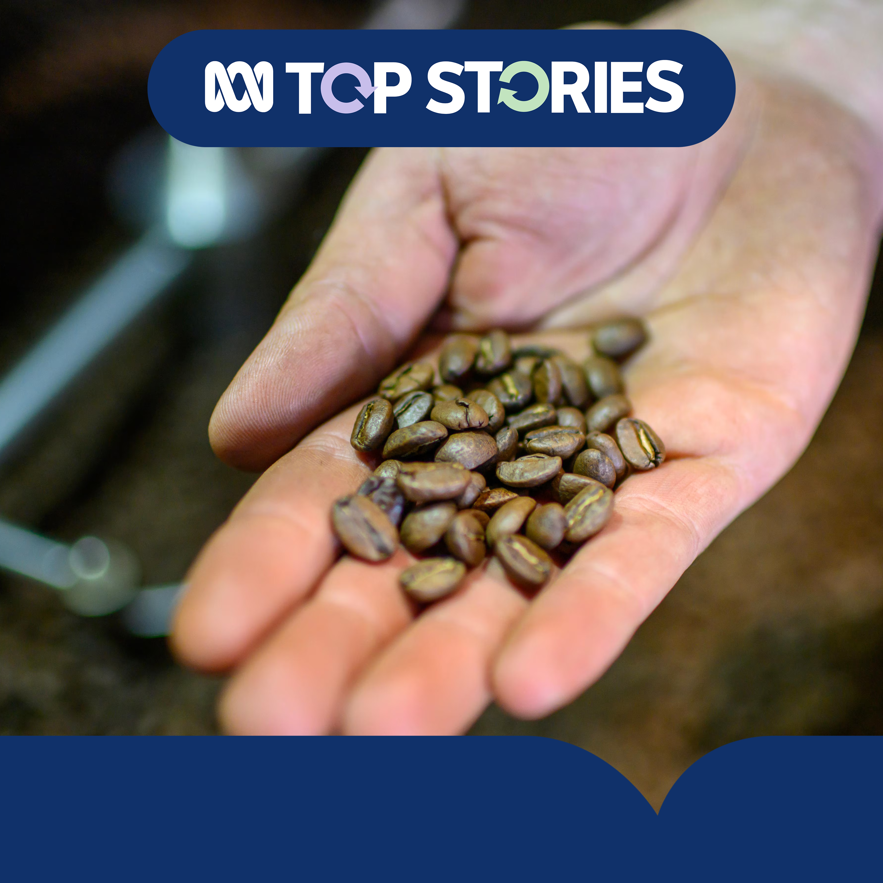 Did your favourite coffee quietly swap to a cheaper bean?