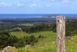 The million dollar view that John Singh's pigs have of Byron Bay