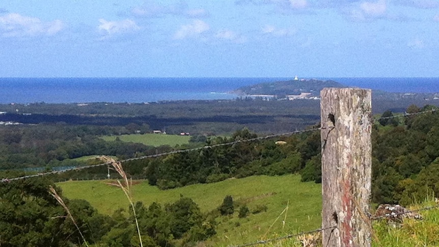 The million dollar view that John Singh's pigs have of Byron Bay