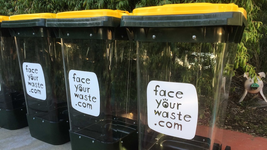 Twenty clear bins will be rolled out in Perth's northern suburbs