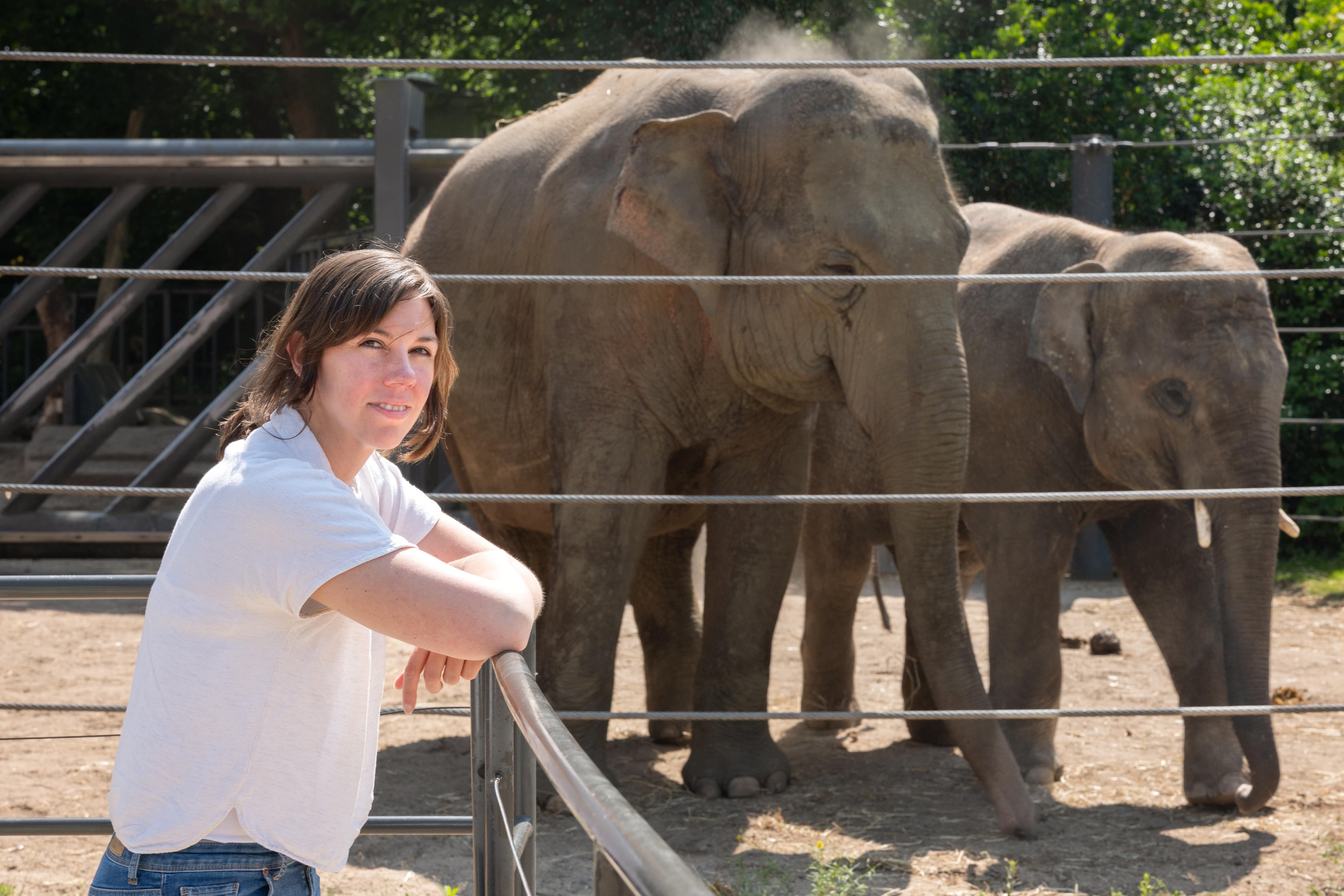 A woman Tabitha Hoornweg stands leaning on a fence in front of two captive elephants. 