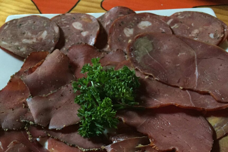 Sliced salami, prosciutto, ham and pastrami on a plate - all made of venison