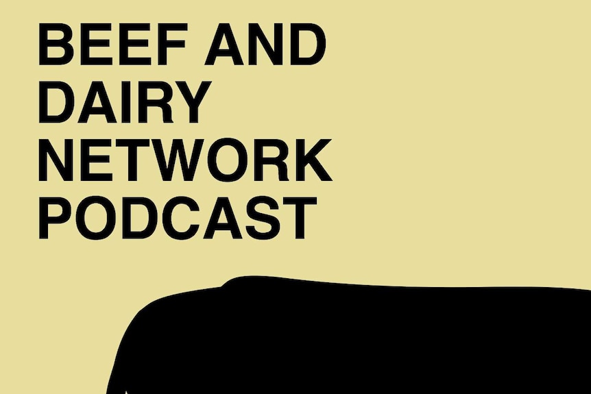 A podcast tile with a yellow background and a silhouette of a cow.
