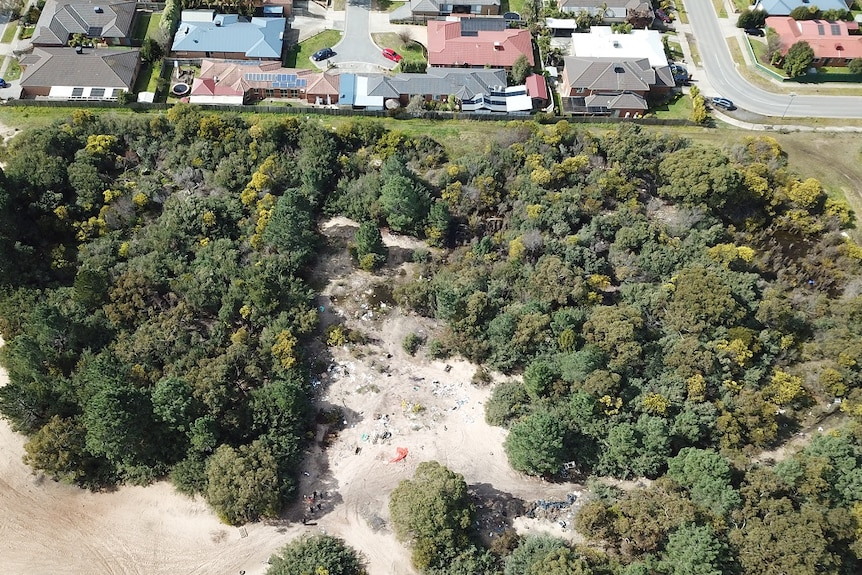 An aerial photograph shows debris scattered across a clearing amidst a group of trees and parkland.