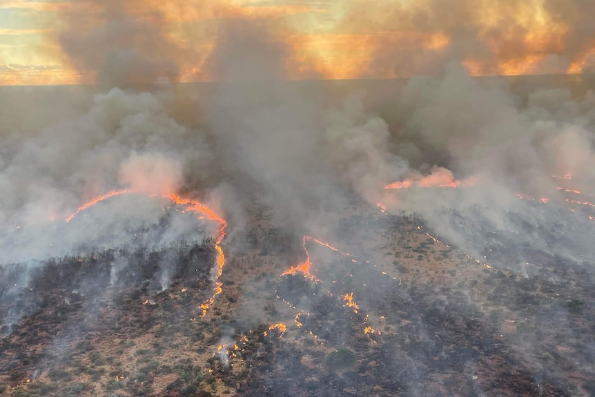 An aerial image of orange bushfire streaks burning on blackened country with smoke in the air