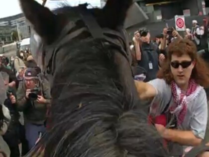 A protester striking a police horse