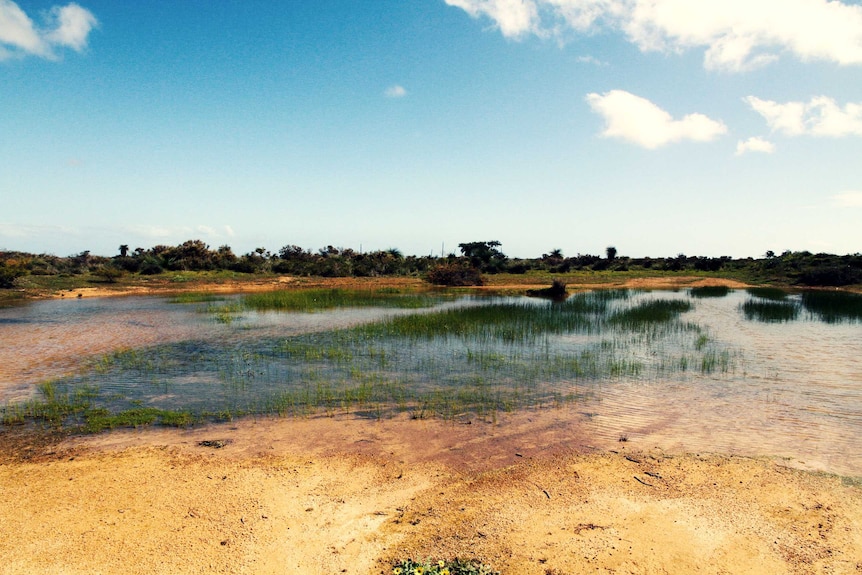 Dandaragan water source in mid-west WA.