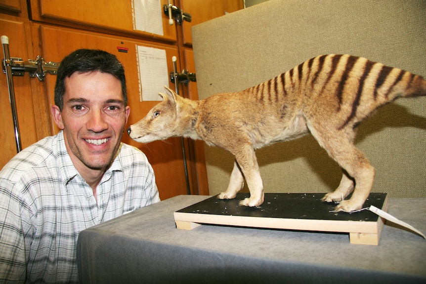 Man smiles while crouching next to a stuffed thylacine.