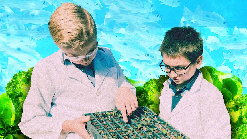 Two boys dressed in lab coats inspect a grid of new seedlings. A collage of lettuce and fish behind them.