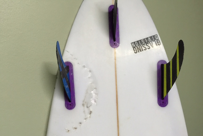 Shark bite marks in a surfboard.