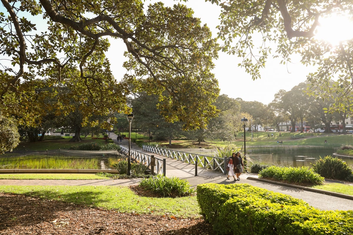 A green park with a bridge and mulch 