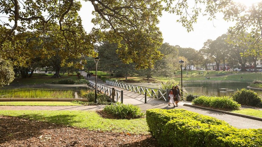 A green park with a bridge and mulch 