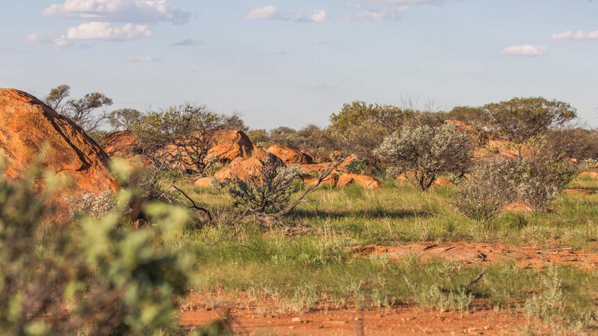 Yilgarn Craton landscape