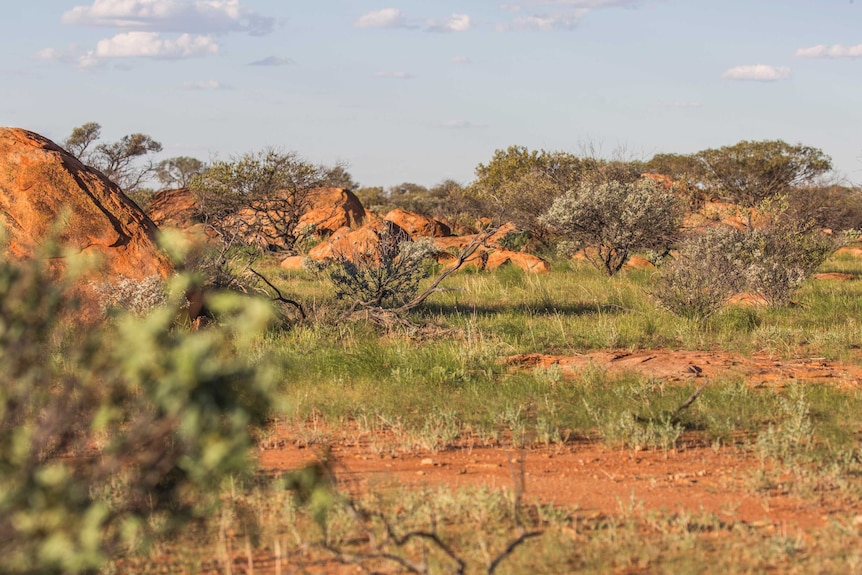 ASKAP is situated on Wajarri country