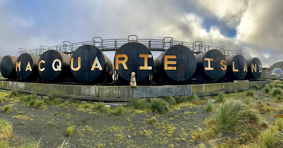 A collection of large black tankers with 'Macquarie Island' printed in large lettering across them.