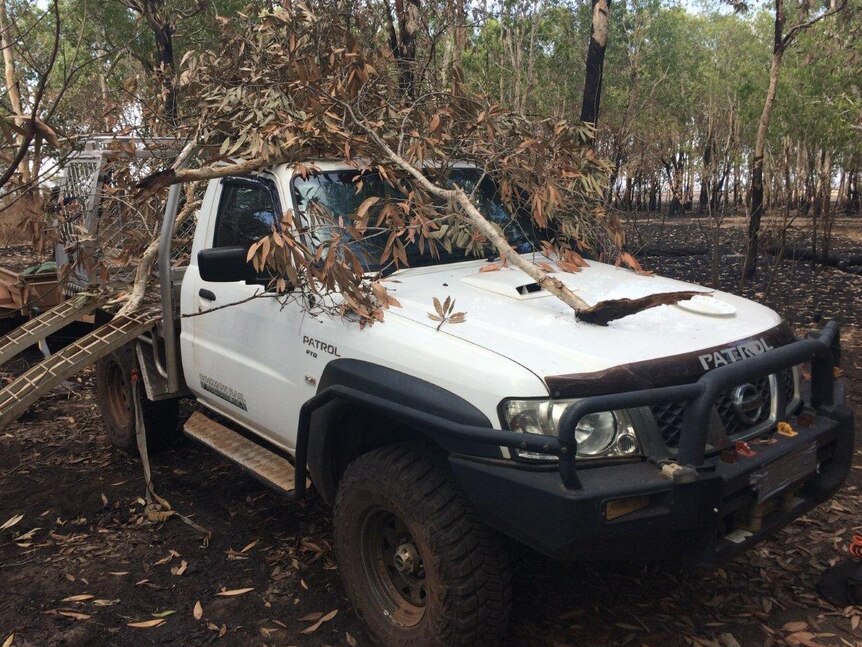 Camouflaged ute belonging to illegal pig hunters in Kakadu NP