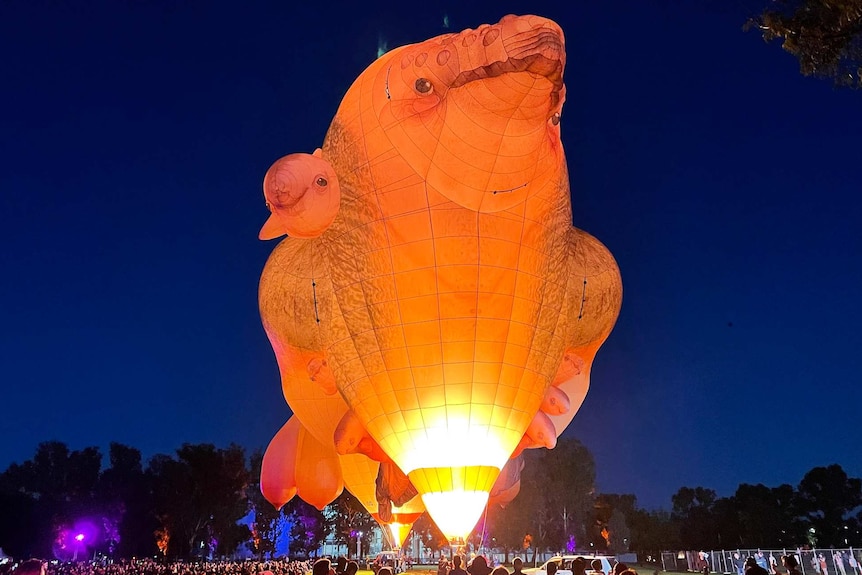 Whale shaped hot air balloon