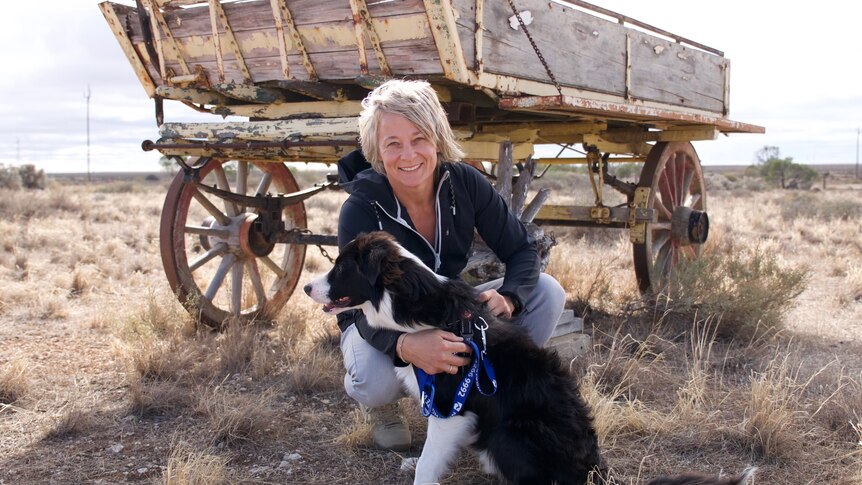 a woman crouching with a border collie in frnot of an old wagon, in a field