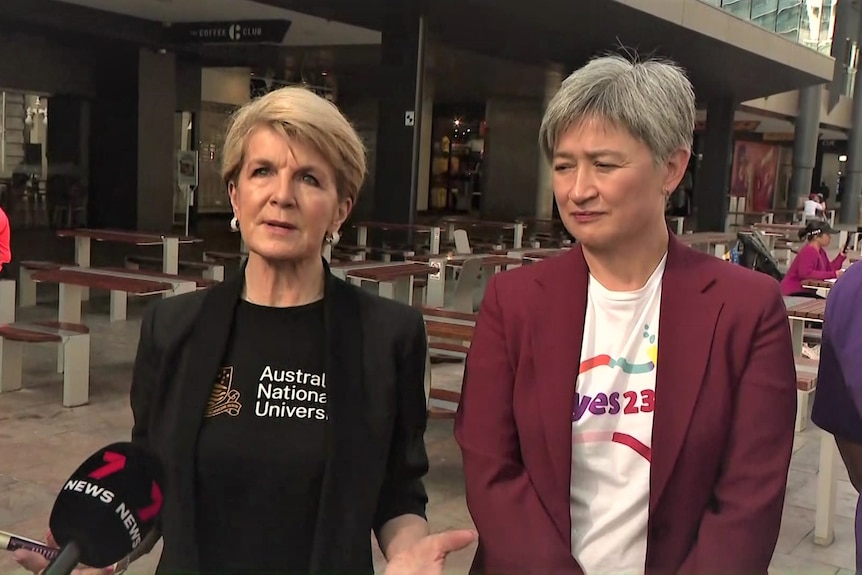 Julie Bishop and Penny Wong speaking to reporters.