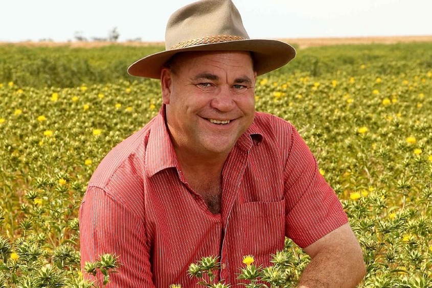 Michael Kleinig in a field of safflower