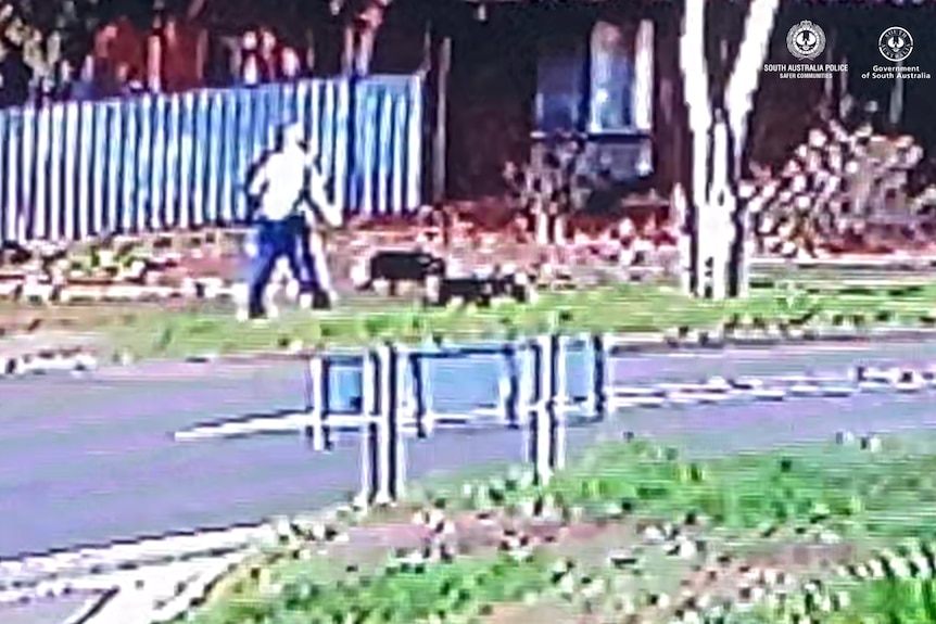 A grainy photo of a man walking on a footpath with two black dogs