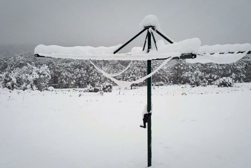 Snow-covered clothes line in Captains Flat
