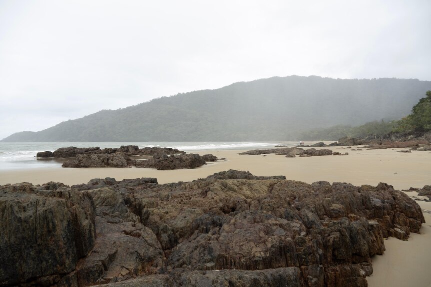 A misty beach with rocks and forest covered hill